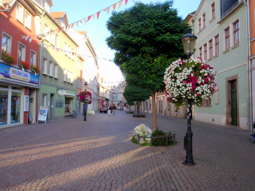 Flowers about a main shopping strip.